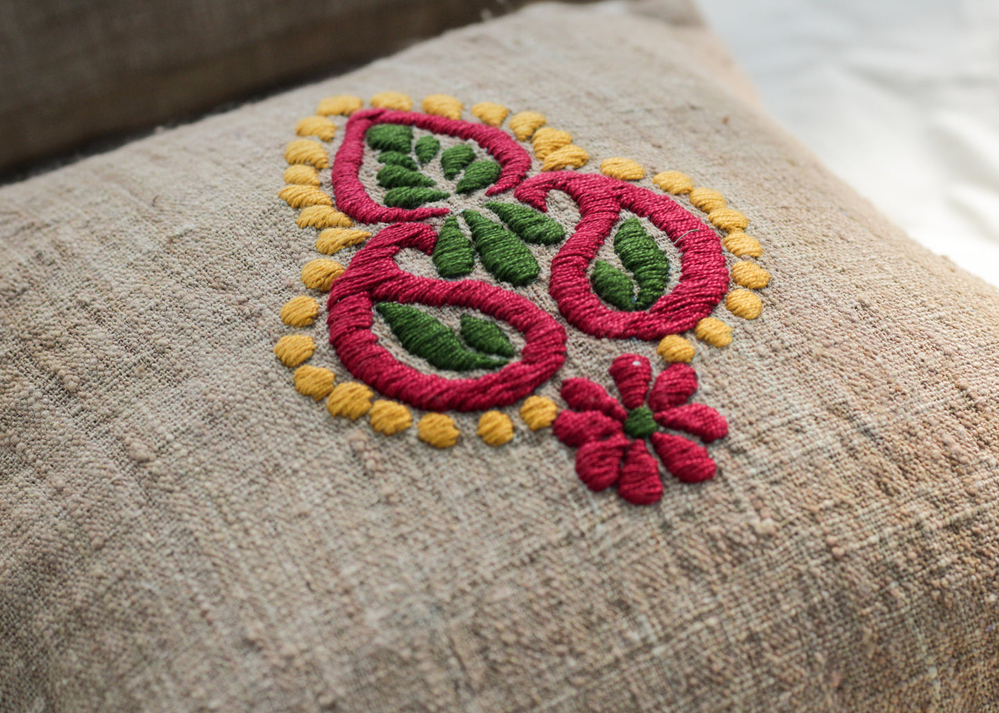 Kolka- Paisley Eri Silk Cushion Covers